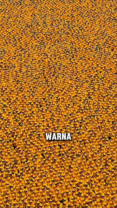 Jutaan Bebek Karet Tumpah ke Sungai! Warga Malah Sorak Sorai #halunik