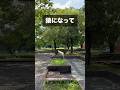 タイプ別で見る花壇の越え方💐