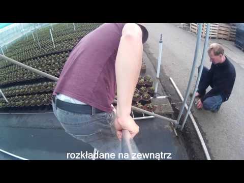Wideo: Pchle Targi W Holandii