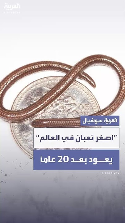             20   
 - نشر قبل 17 دقيقة
