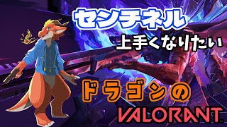 自分の配【ケモノVtuber】おセンチネルを上手くなりたいドラゴンのValorant【Valorant】