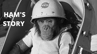 What happened to Ham in Space | Animal in Space