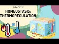 Thermoregulation and Skin Structure Quiz