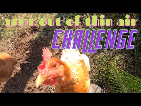 ASMR Out Of Thin Air CHALLENGE? I'll try this, I hope you will too!