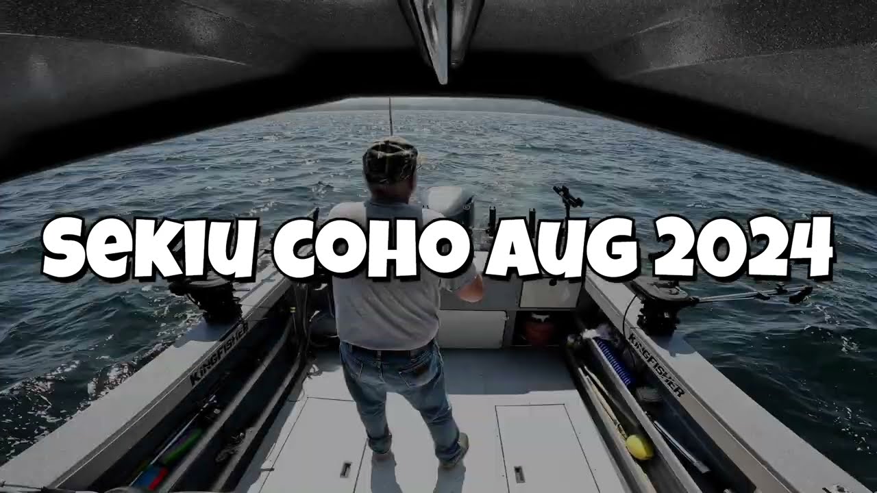Sekiu Coho Aug 2024