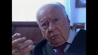 Gadamer on Schopenhauer (1991)