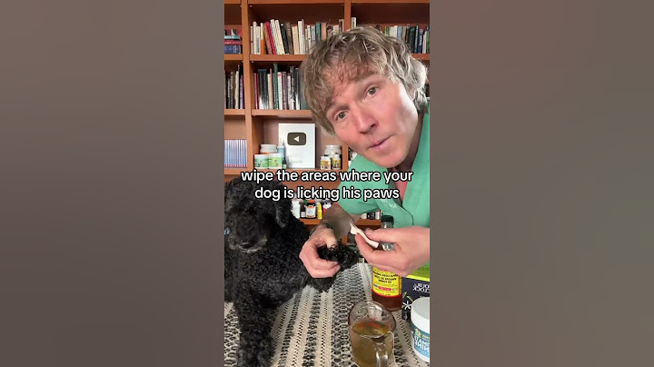 Dog won’t stop licking his paws? Awesome Home Remedy!