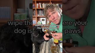 Dog won’t stop licking his paws? Awesome Home Remedy!