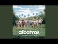 Albatros