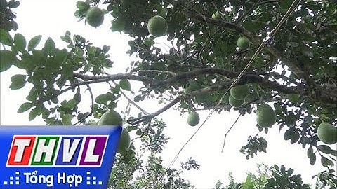 THVL | Đoàn công  tác của trung ương khảo sát, thẩm định TX Bình Minh hoàn thành nhiệm vụ  XDNTM