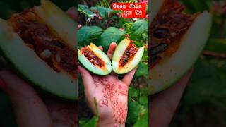 Village Girl Go Crazy For This #priya #villagevibe #shorts #villagelovers #food #kanchaamba