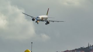 12 Nice Afternoon LANDINGS at Madeira Airport by Madeira Airport Spotting 16,913 views 6 days ago 8 minutes, 58 seconds