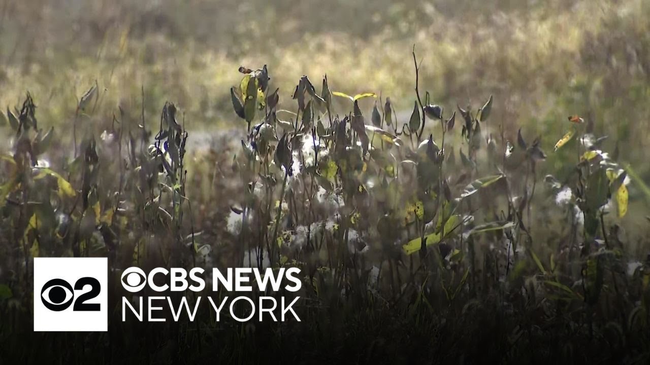Lack of rain across Tri-State Area leads to increasing drought concerns ...