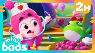 Dr Newt's Froggy Daycare | 🌈 Minibods 🌈 | Preschool Learning | Moonbug Tiny TV