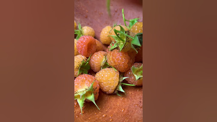 Perennial fruits are the ultimate garden treasures. 🌳🍇