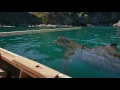Basking Sharks of Donegal - Wild Ireland: The Edge of the World