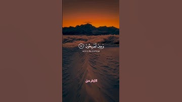تلاوة هادئة سورة الروم بصوت عبدالرحمن مسعد ❤️