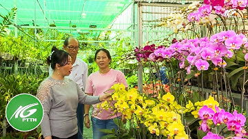 Cho hoa nở ngày tết | THKG