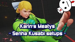 Karin Kanzuki Senha Kusabi Meaty Setups - Season One -