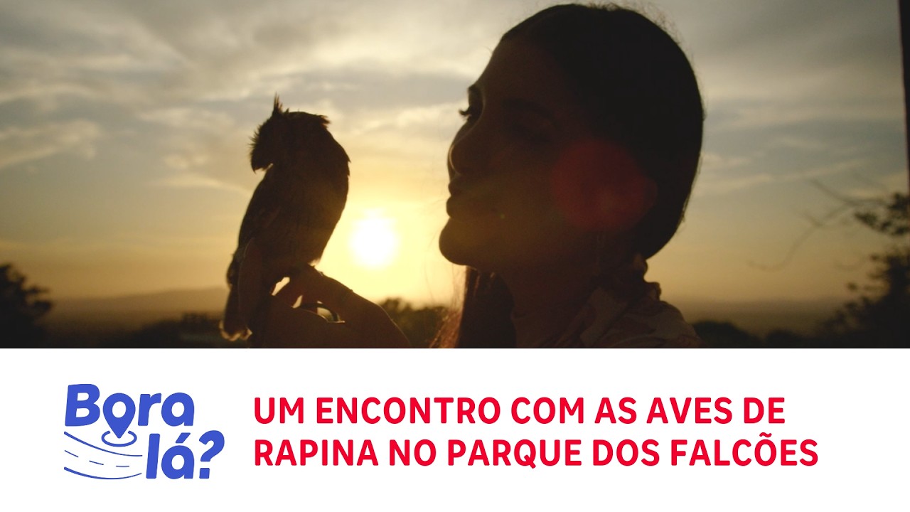 Bora Lá? | Um encontro com as aves de rapina no Parque dos Falcões