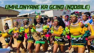 Umhlonyane kaNqobile aka Gcino| Zulu Ceremony| Camp experience| South African YouTuber