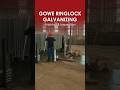 Your reliable scaffolding supplier #gowe #construction #scaffoldingsupplier #scaffolding