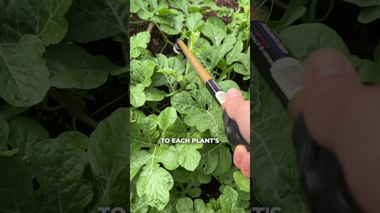 When I Don't Know What To Do In The Garden