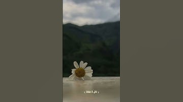 اللهم صل وسلم وبارك على  ونبينا محمد وعلى آله وصحبه أجمعين 🤍🤍#قرآن​ #قران_كريم​ #تلاوة_قرآن​ #quran​