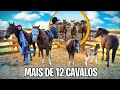 TROQUEI OS CAVALO DE PASTO