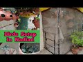 दिल खुश कर देने वाला बजरी तोतो का सेटप || Budgies Breeding Setup Nadiad, Gujarat || Naeem Bhai Setup