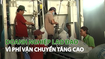 Doanh nghiệp lao đao vì phí vận chuyển tăng cao| VTC14