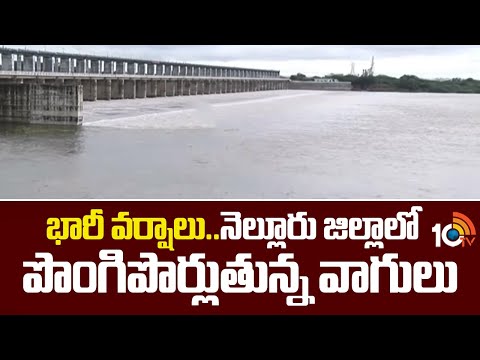 Heavy Rains In Nellore | భారీ వర్షాలు.. నెల్లూరు జిల్లాలో పొంగిపొర్లుతున్న వాగులు | 10TV - 10TVNEWSTELUGU
