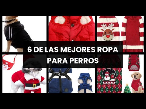 Ropa perros: 6