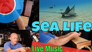 Ocean Reef + Live Music by Kalani