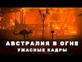 Австралия горит. Пожары в Австралии уничтожают целые города. Последние новости