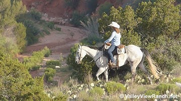 Tate***For info, price, etc., go to our website: ValleyViewRanch.net***