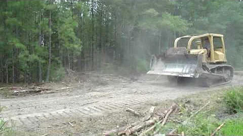 Cat D6D Dozer Clearing A road