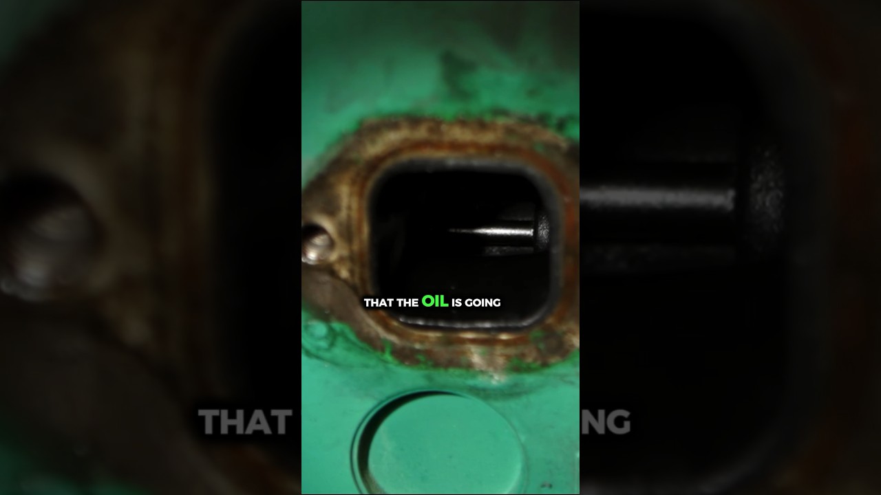 Signs of Oil Consumption. Oil In Exhaust Ports. Signs Of Oil on Turbo.