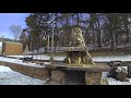 Squirrels - Time Lapse - eating corn cobs