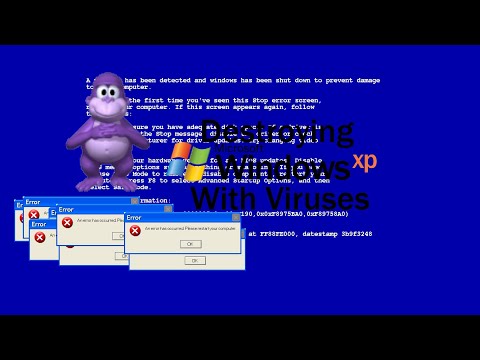 Destroying Windows XP with Viruses