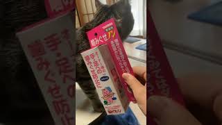 噛み癖を直す薬を持つ手に噛みつく猫　#shorts