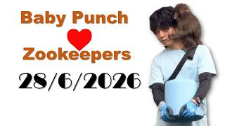 Download lagu 28/6/2026 | (Full) Baby Punch and 'Daddies' zookeepers #punch #babymonkey