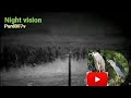 Berburu burung koak menggunakan, pard007v.