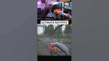 WHAT IN THE RAT SPOT?? (Arena Breakout Infinite)