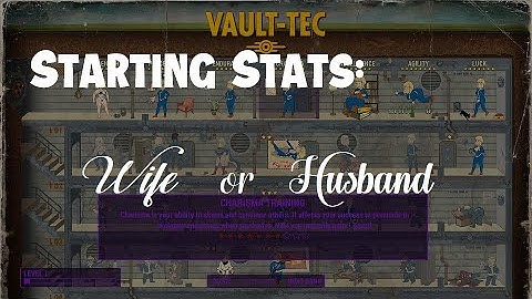 Starting Stats Wife OR Husband