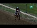 Willie Boi Works at Keeneland 10.22.2022
