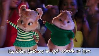 ලෙලෙනා - Lelena | Nilan Hettiarachchi song | Chipmunks & Himabole version song with lyrics