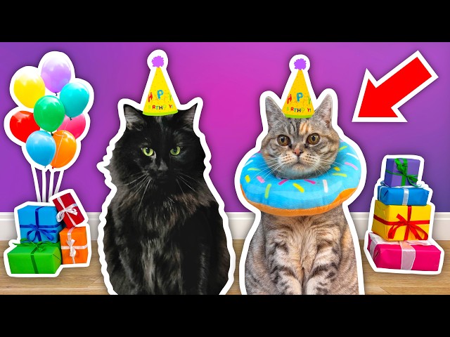 I Threw a BIRTHDAY PARTY For My Elderly CAT! class=