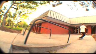Taylor Crandall - For The Birds