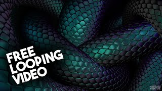 : Free Snake Loop HD animation (   )  Free loop